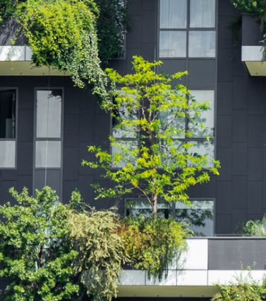 building with plants in balconies