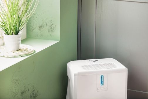 Dimplex Everdri 14L Dehumidifier next to mould on a wall