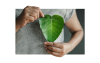 hands holding leaf in front of heart