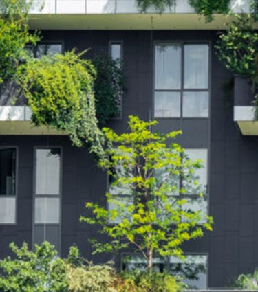 building with plants in balconies