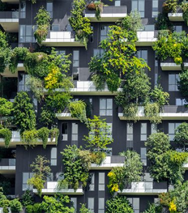 building with plants in balcony