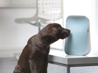 dog sniffing air purifier