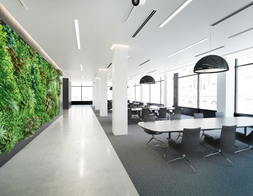 modern office interior with plant wall