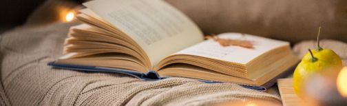 book open on sofa with autumn leaf on top