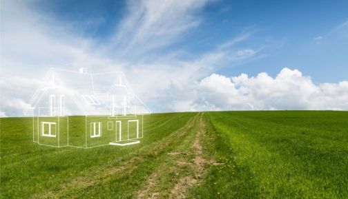 sketch of a house on a meadow