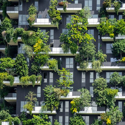 building with plants in balcony