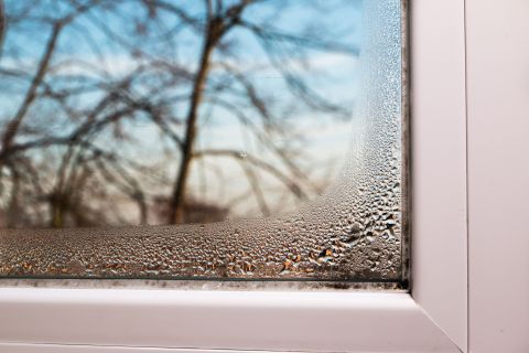 condensation of window corner