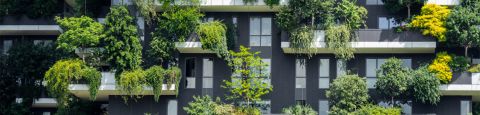 building with plants in balconies