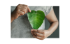 hands holding leaf in front of heart