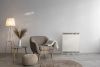 Dimplex XLE storage heater